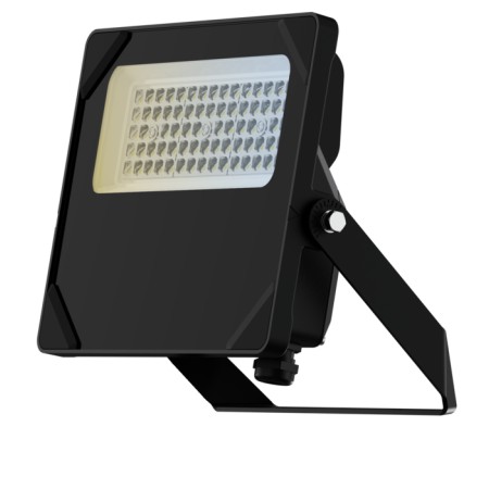 PROXI CWS - FL165420